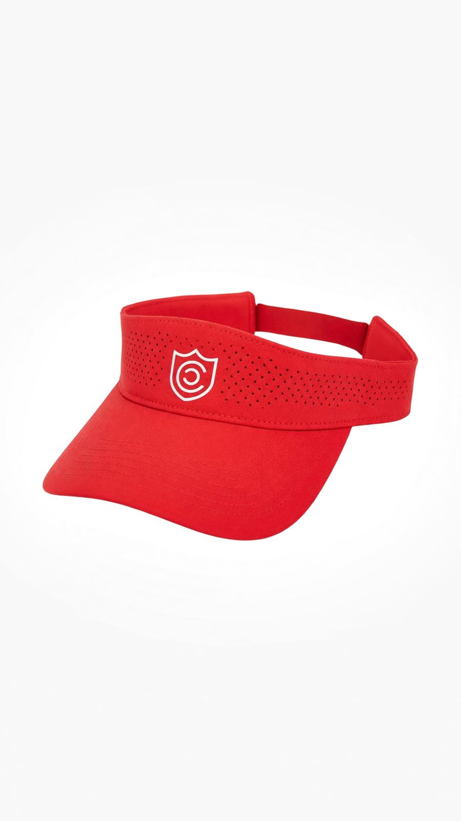 Visor