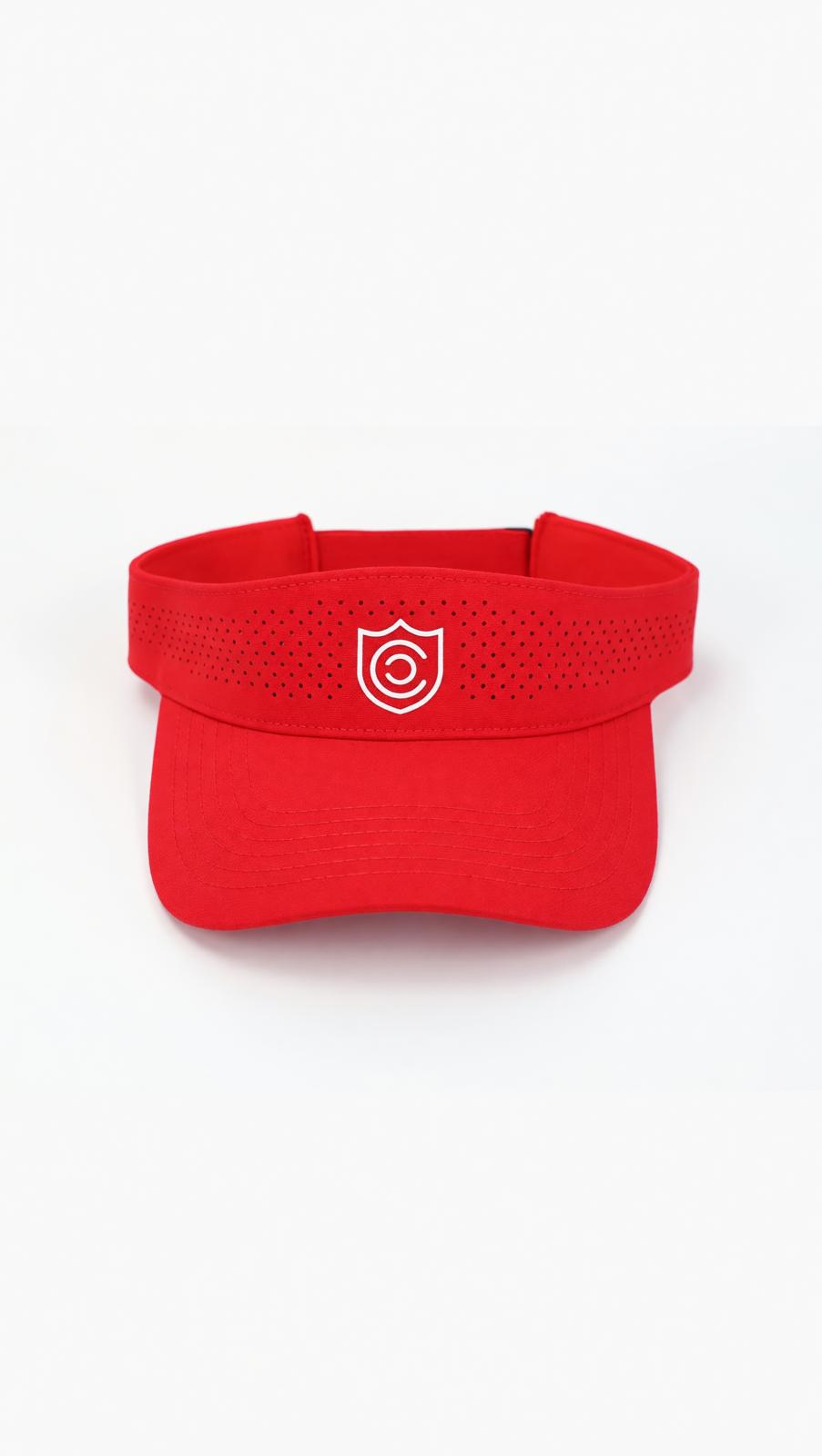 Visor