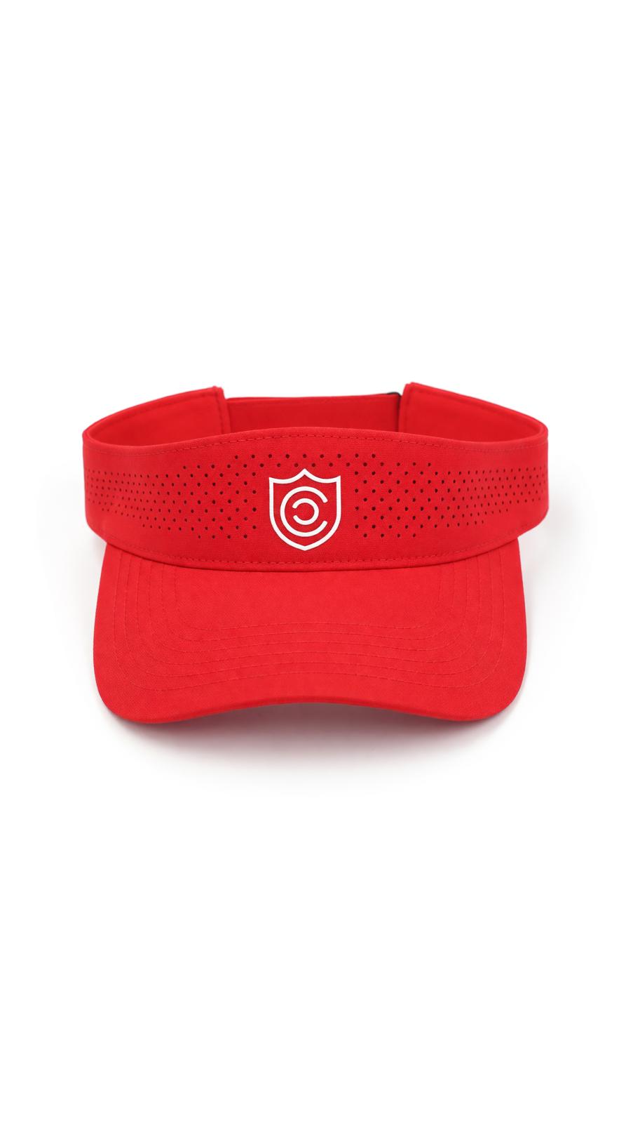 Visor